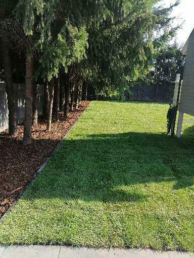 Firma ogrodowa Demono