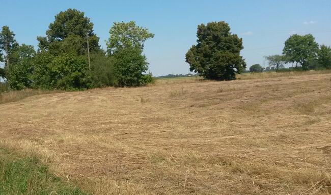 Sprzedam działki Mostkowo gmina Barlinek