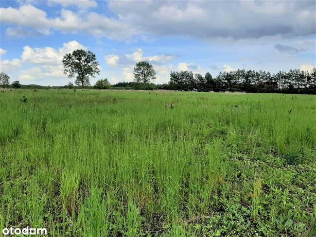 Działki budowlane w Chrzanowie