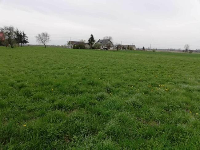 Działka o powierzch 3900m Mchówek (woj. kuj-pom)