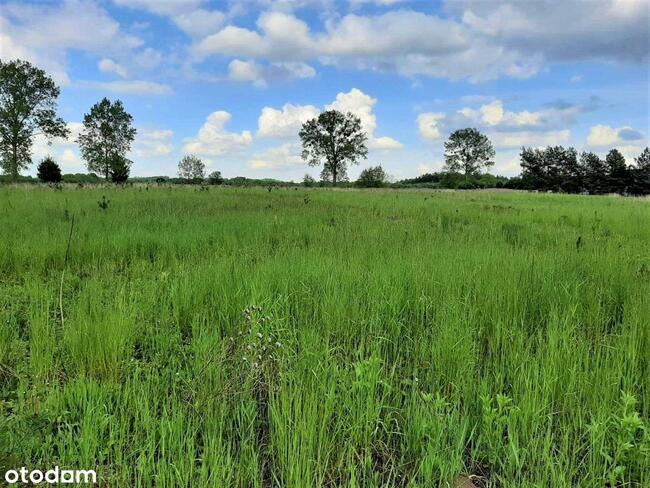 Działki budowlane w Chrzanowie