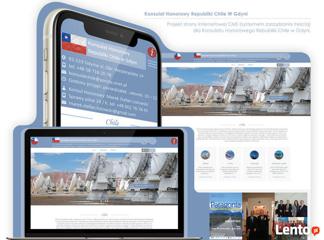 Profesjonalne, nowoczesne strony, sklepy internetowe, grafika