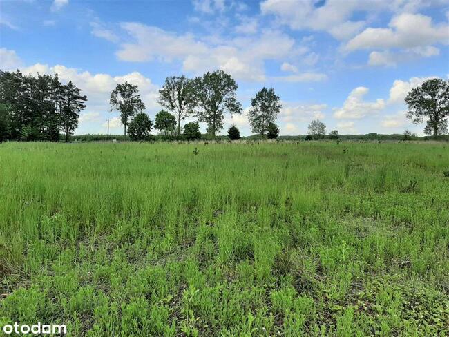 Działki budowlane w Chrzanowie