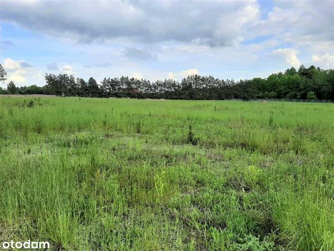 Działki budowlane w Chrzanowie