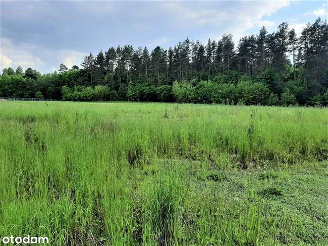 Działki budowlane w Chrzanowie