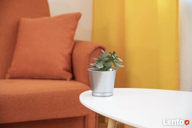 Psychoterapia indywidualna, psychodynamiczna w Gliwicach