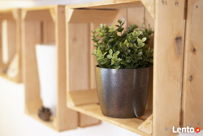 Psychoterapeuta Katowice - mgr Małgorzata Iwańczyk