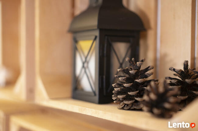 Psychoterapia indywidualna, psychodynamiczna w Gliwicach