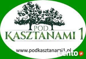 Fin Flexigel - kolagen w płynie na stawy.