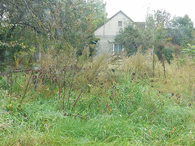 Posesja pow. Miński do sprzedania.