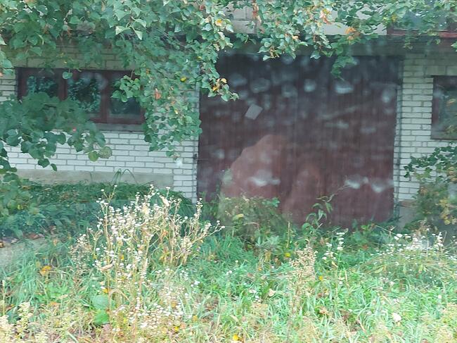 Posesja pow. Miński do sprzedania.