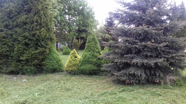 NOWA działka ROD rekreacyjna 300 Białystok, ul Ciołkowskiego