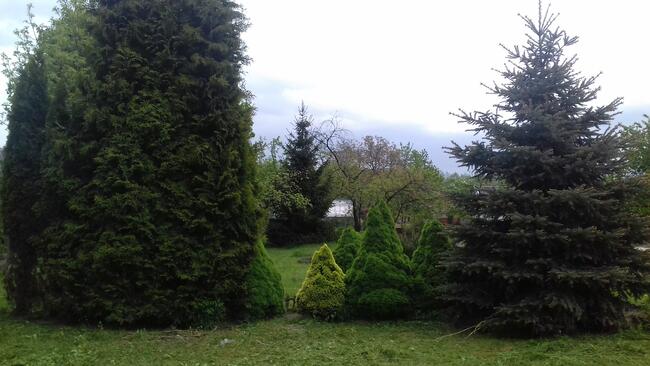 NOWA działka ROD rekreacyjna 300 Białystok, ul Ciołkowskiego