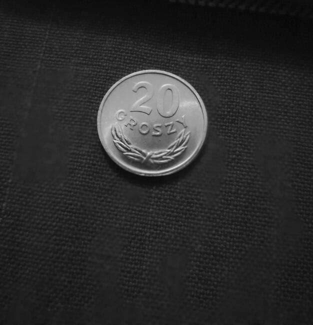 20 gr z 1981 mennicza z rolki