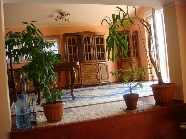 Witryna 180 Bekas Producent Mebli Dostawa Raty Dąb