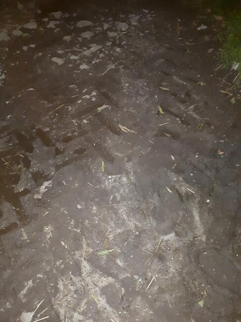 Która chce chłopaka ze wsi ;)