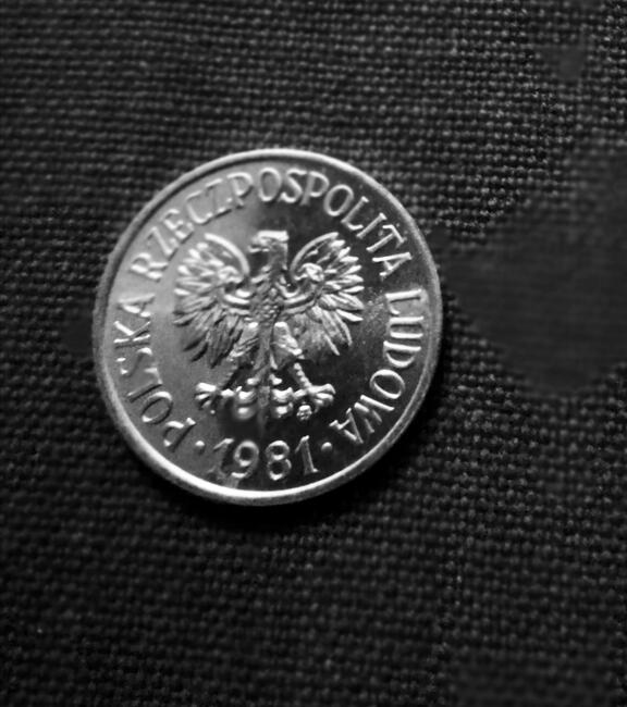20 gr z 1981 mennicza z rolki