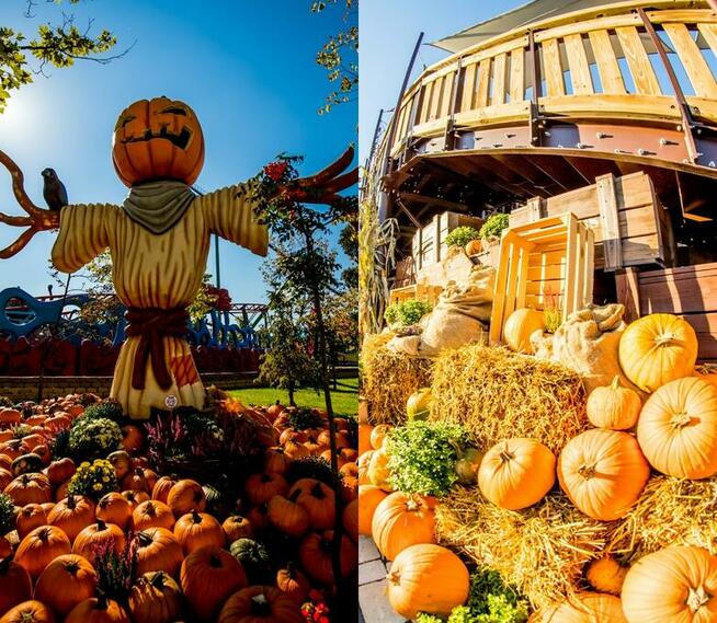 Bilety do ENERGYLANDII! - !! Atrakcyjne Ceny!!