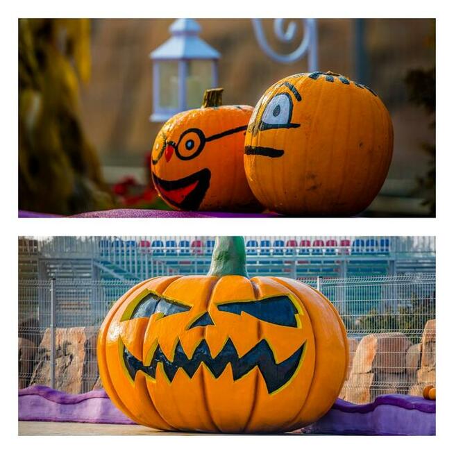 Bilety do ENERGYLANDII! - !! Atrakcyjne Ceny!!