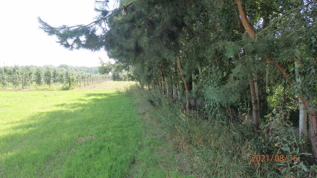 Świecie-Działka budowl inwest w Głogówku. Czytaj ogłoszenie.