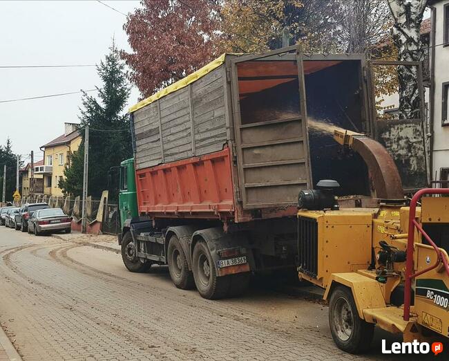 wycinka drzew, rekultywacja przekształcenie lasu w pole, rębak