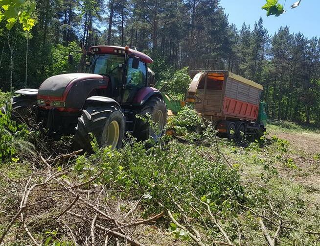 wycinka drzew, rekultywacja przekształcenie lasu w pole, rębak