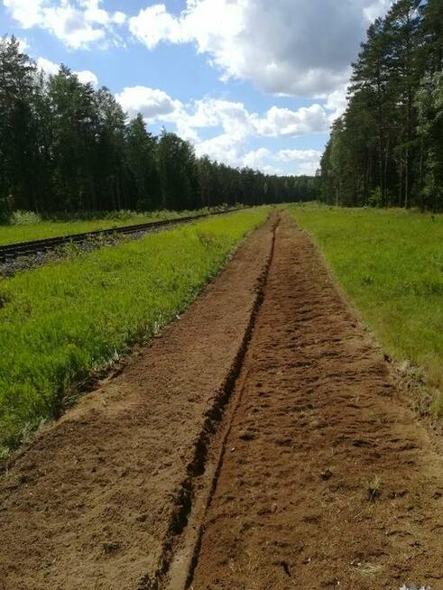 wycinka drzew, rębak, rekultywacja,mulczowanie 30 cm w głąb