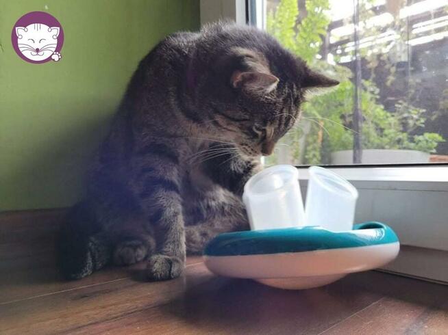 Wilga - pokocha Cię bezwarunkowo