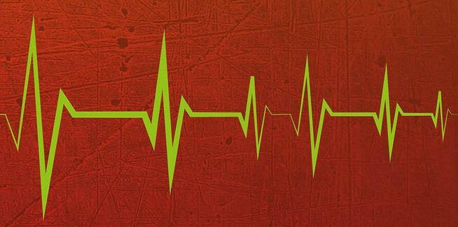 Rowerowy Doktor Firma Naprawi każdy typ roweru