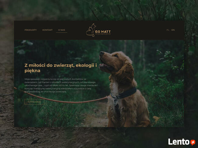 Projektowanie stron internetowych