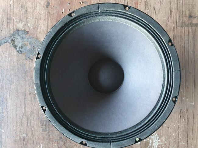 Głośnik Basowy FBT 2 x 125W 15