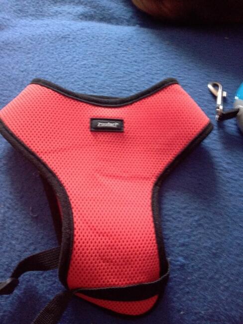 Smycze, Szelki, Legowisko.