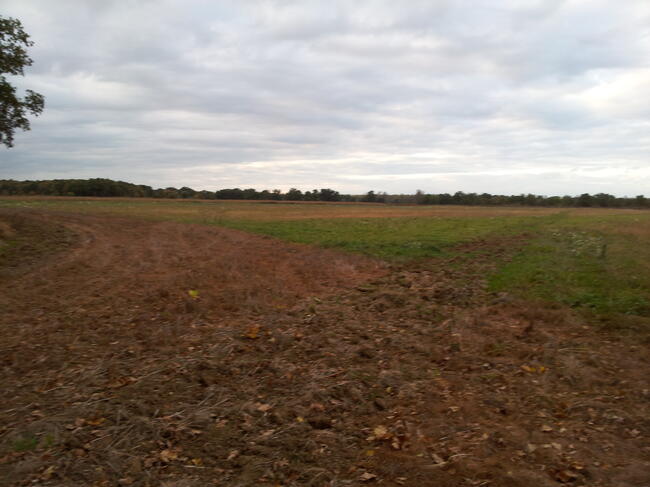 Sprzedam działkę rolną 23 850 m2,