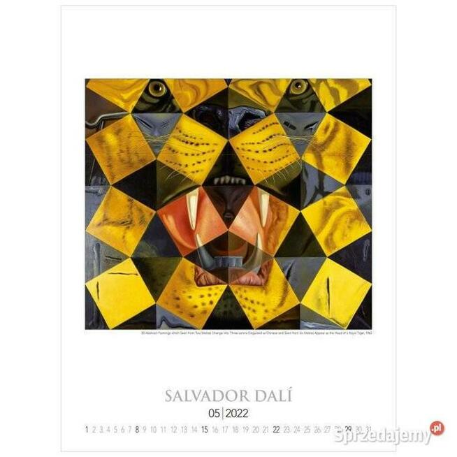 Salvador Dali 13 plakatów reprodukcje surrealizm obrazy