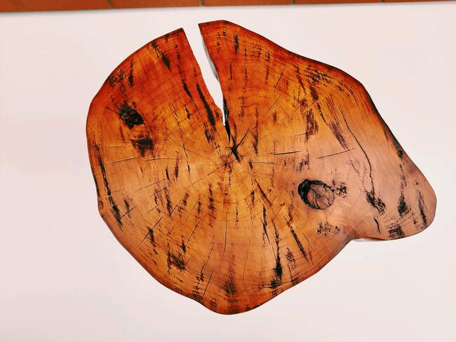 Stolik kawowy drewniany, plaster drewna, loft, żywica