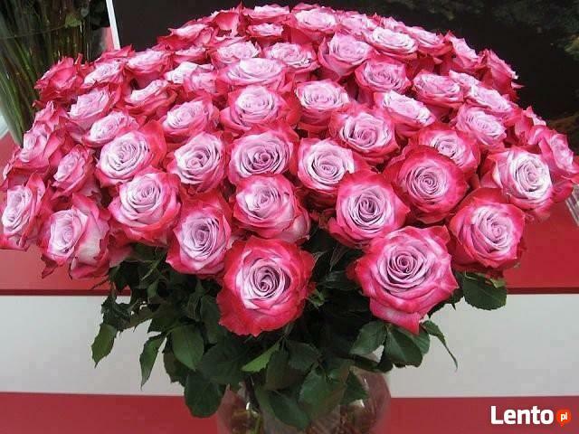 szukam przyjaciolki BADZ MOIM PIEKNYM SNEM :}