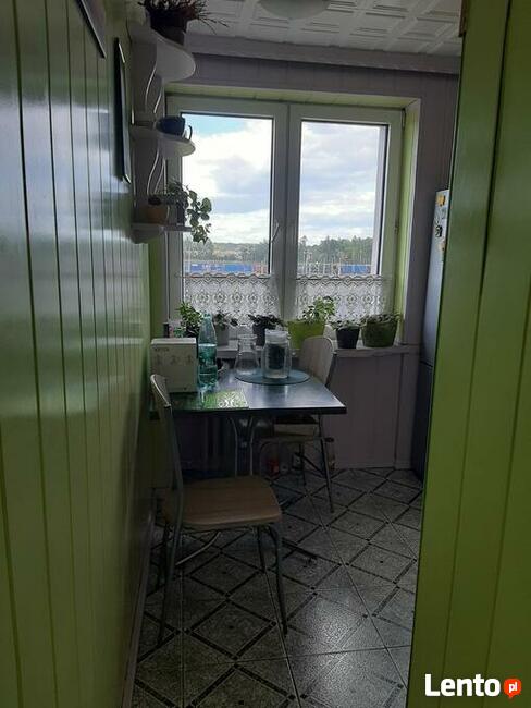 Mieszkanie M-4, ok. 48 m2, bezpośrednio, bez prowizji