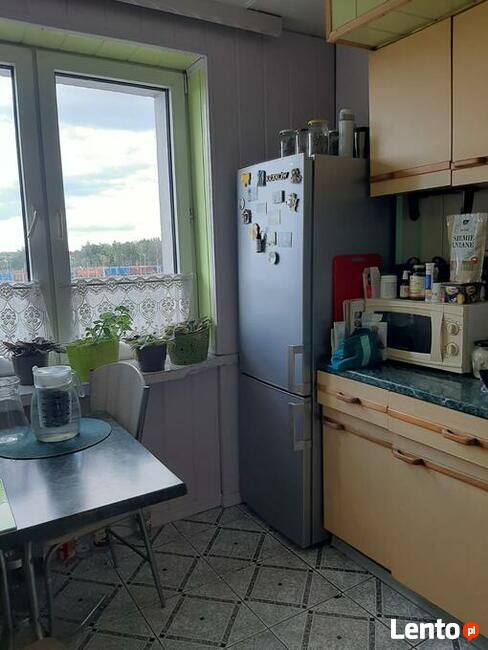 Mieszkanie M-4, ok. 48 m2, bezpośrednio, bez prowizji