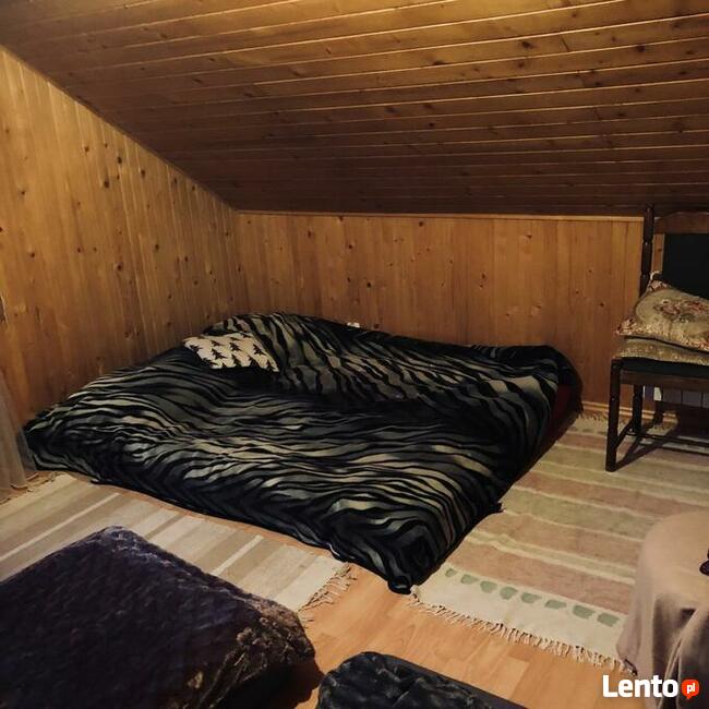 dom z kominkiem w lesie na odludziu, ferie,ognisko