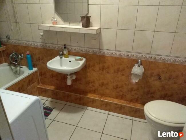 dom z kominkiem w lesie na odludziu, ferie,ognisko