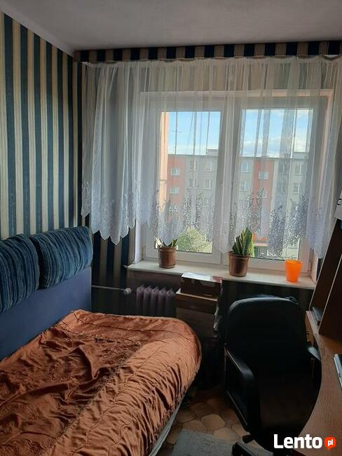 Mieszkanie M-4, ok. 48 m2, bezpośrednio, bez prowizji