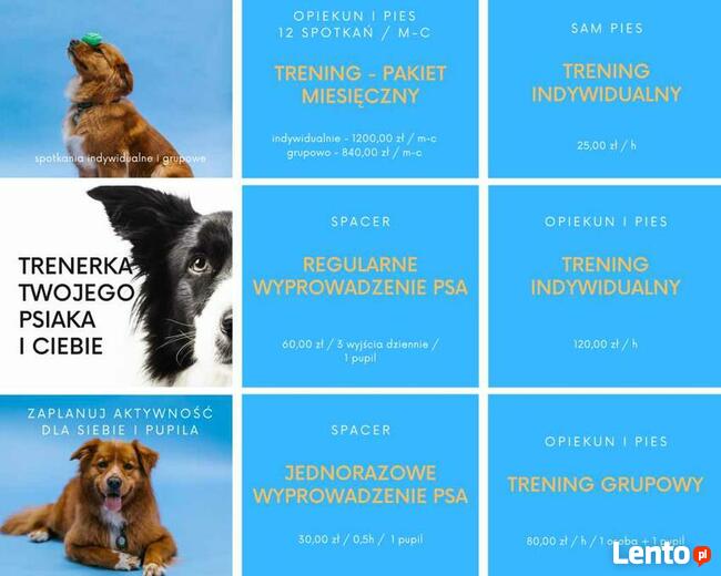 wyprowadzanie psów Warszawa