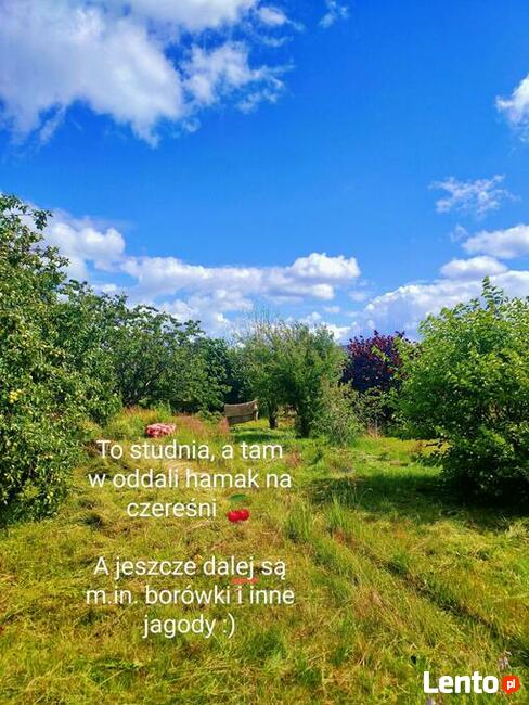 Zaciszna i dorodna EKO działka, Woda, prąd, dobry dojazd! :)