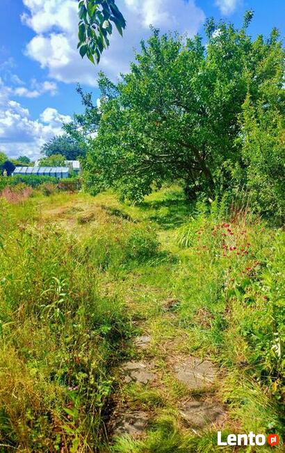 Zaciszna i dorodna EKO działka, Woda, prąd, dobry dojazd! :)