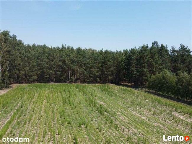 Działki budowlane na sprzedaż, Zosinki