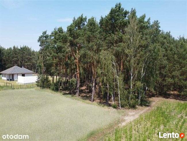 Działki budowlane na sprzedaż, Zosinki