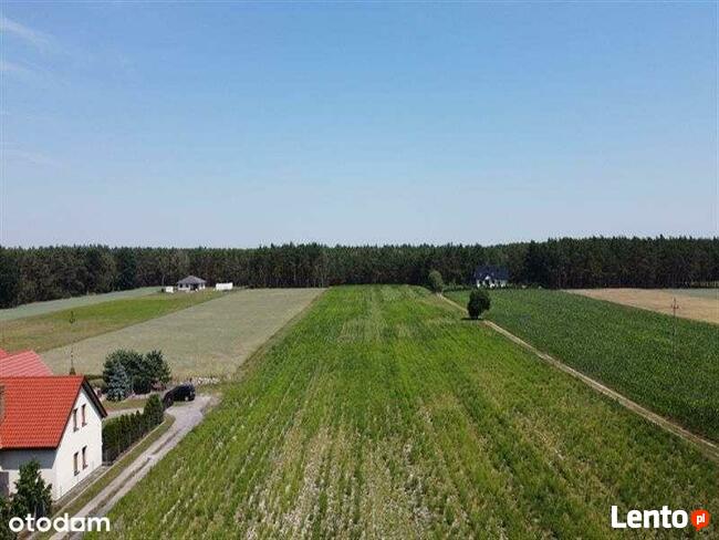 Działki budowlane na sprzedaż, Zosinki