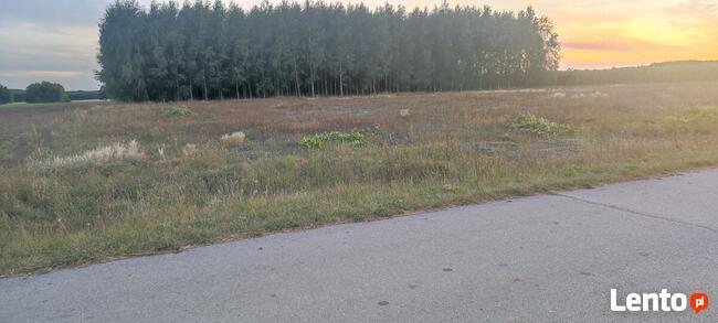 Okazja ! 3h lasu z dopłatami + działka do zabudowy
