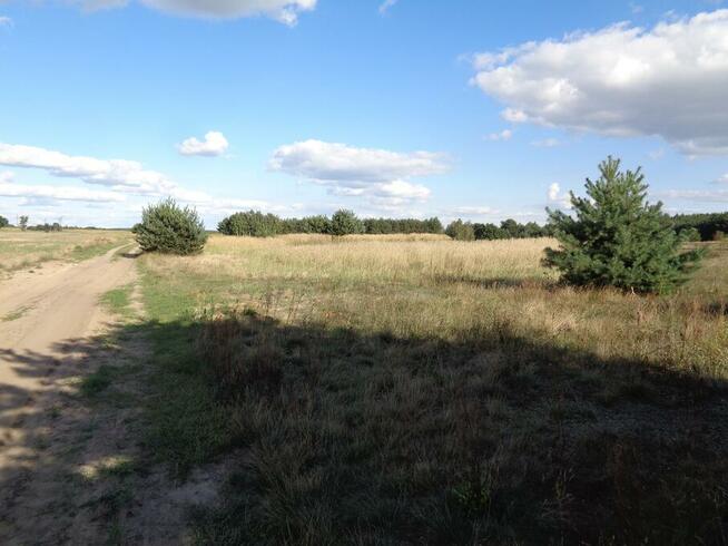 Skulsk – Działki z warunkami zabudowy