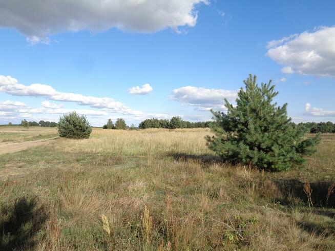 Skulsk – Działki z warunkami zabudowy